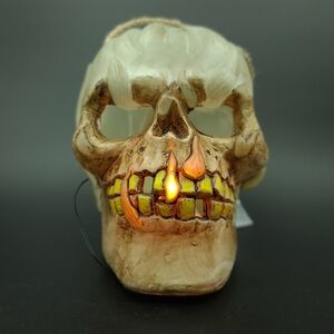 Gothic Skull Statue Figurine Creepy Halloween Home Ornament  NWOT